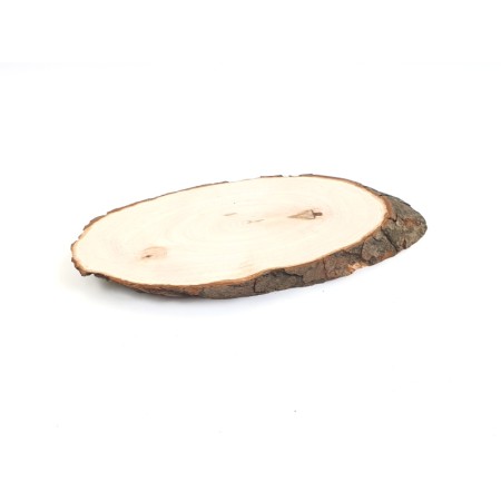 base tronco in legno ovale  cm 22x10 circa spessore 2 cm