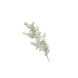rametto eucalipto verde ambrato cm 30