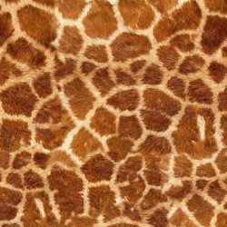 Termovinile wild giraffe cm 30x50 easy pattern